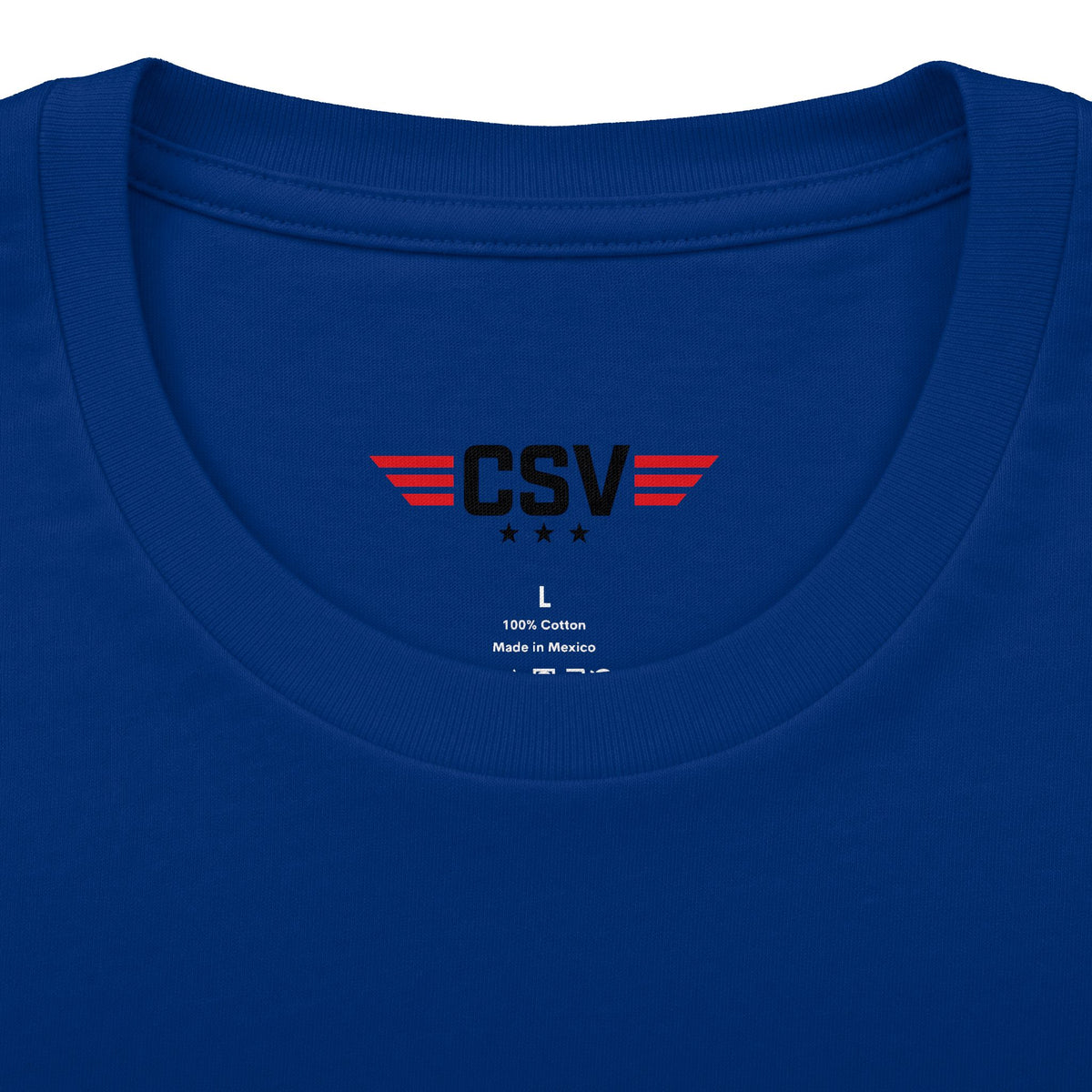 Still Standing Child Support Veteran T-Shirt — Patriotic CSV Tee