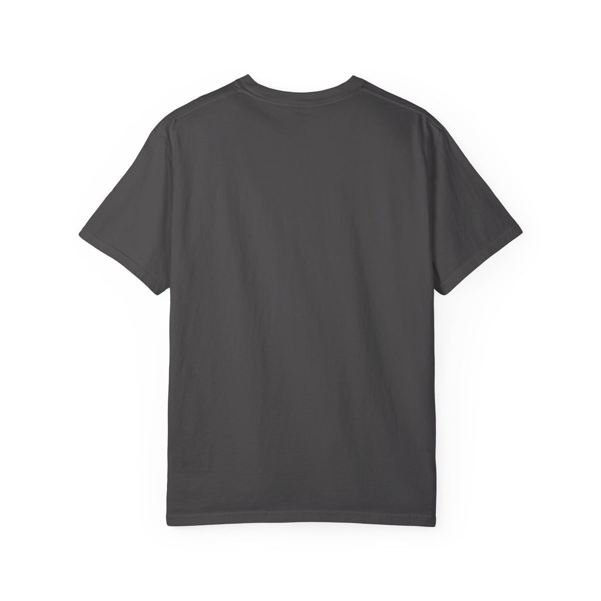 CSV — Paid My Dues Garment-Dyed Tee