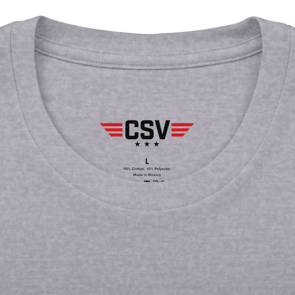 Still Standing Child Support Veteran T-Shirt — Patriotic CSV Tee