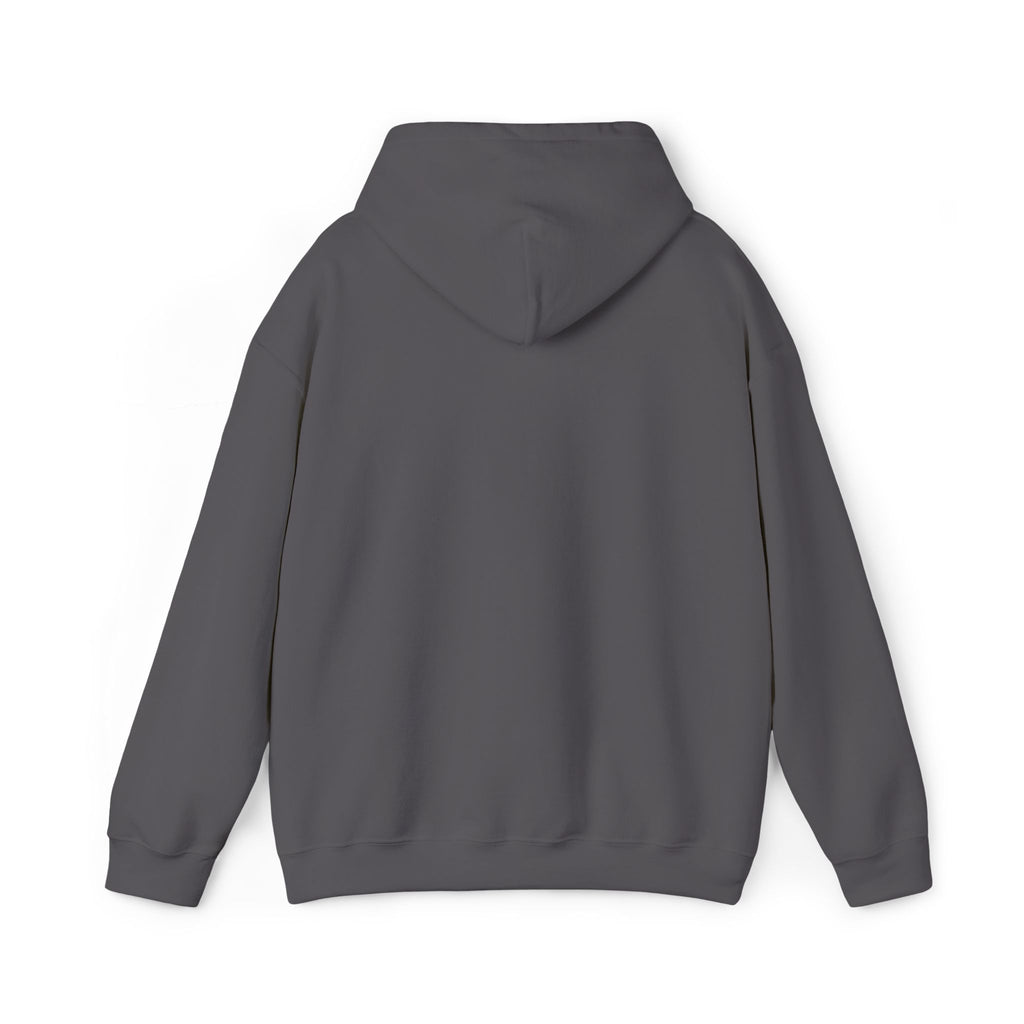 Veteran Wings Hoodie – Small Support Veteran Patriotic Pullover
