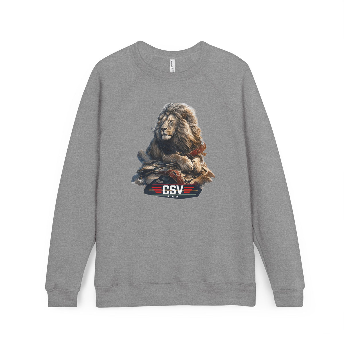Unisex Sponge Fleece Raglan Sweatshirt