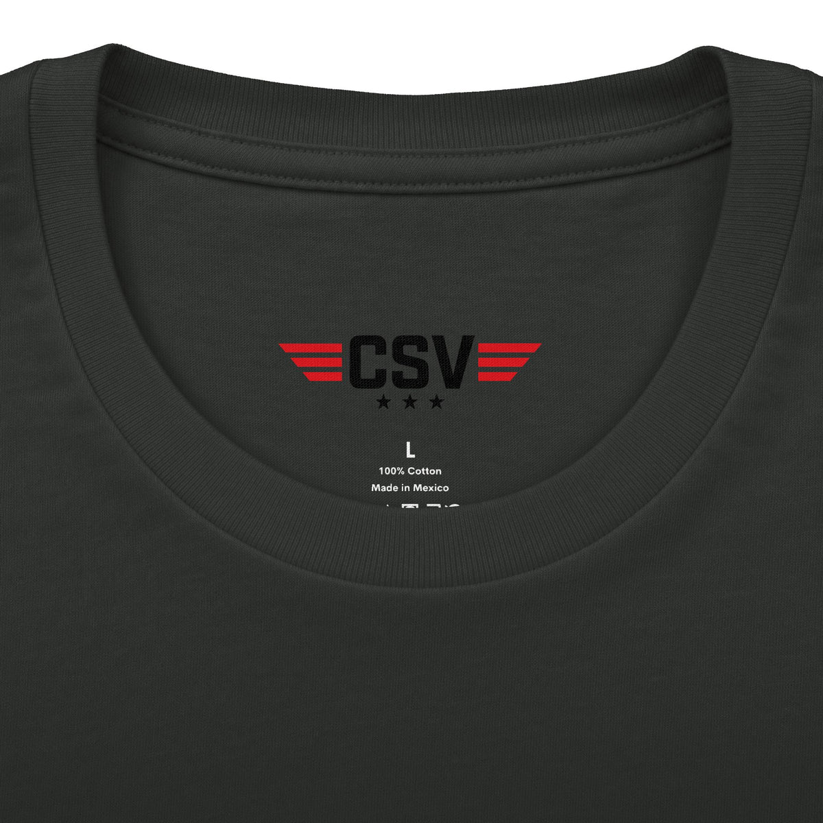 Still Standing Child Support Veteran T-Shirt — Patriotic CSV Tee