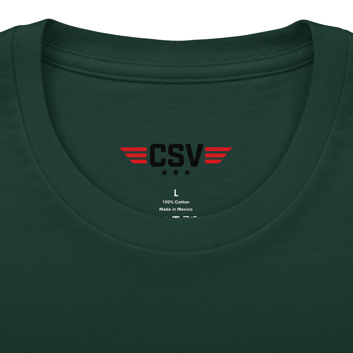 Still Standing Child Support Veteran T-Shirt — Patriotic CSV Tee