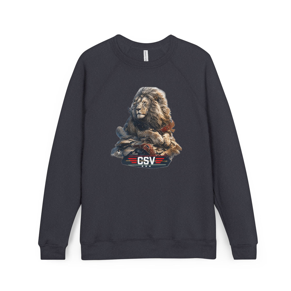 Unisex Sponge Fleece Raglan Sweatshirt